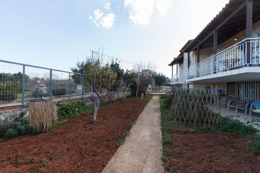 Country Rooms Near Athens - Airport Vravrona Exteriér fotografie