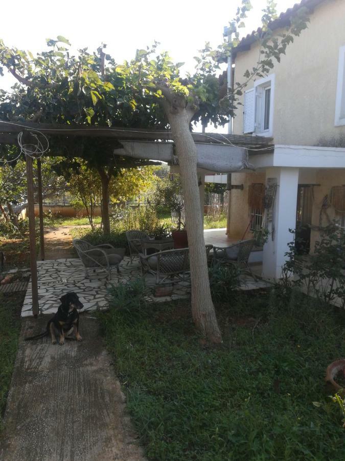 Country Rooms Near Athens - Airport Vravrona Exteriér fotografie