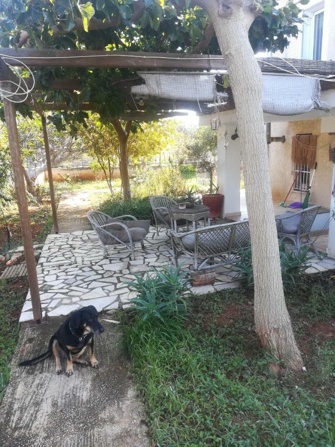 Country Rooms Near Athens - Airport Vravrona Exteriér fotografie