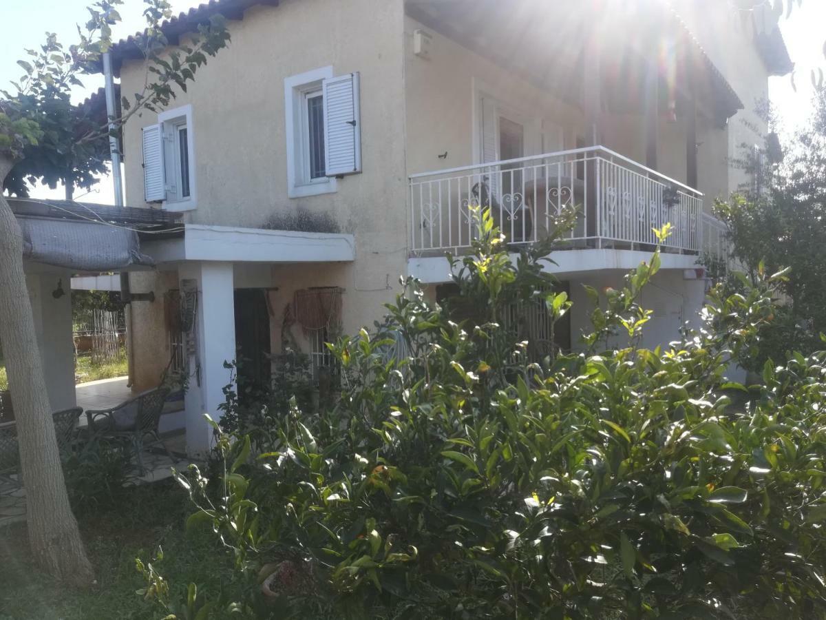Country Rooms Near Athens - Airport Vravrona Exteriér fotografie
